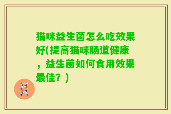 猫咪益生菌怎么吃效果好(提高猫咪肠道健康,益生菌如何食用效果佳?) 猫咪益生菌怎么吃效果好(提高猫咪肠道健康,益生菌如何食用效果佳?)