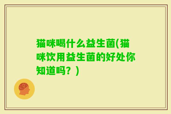 猫咪喝什么益生菌(猫咪饮用益生菌的好处你知道吗?) 猫咪喝什么益生菌(猫咪饮用益生菌的好处你知道吗?)