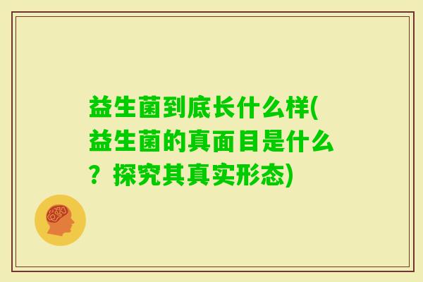 益生菌到底长什么样(益生菌的真面目是什么?探究其真实形态) 益生菌到底长什么样(益生菌的真面目是什么?探究其真实形态)