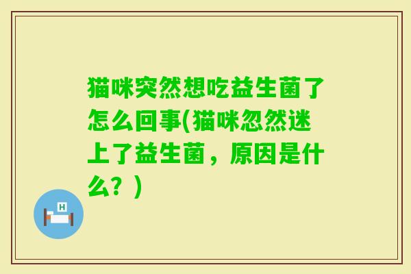 猫咪突然想吃益生菌了怎么回事(猫咪忽然迷上了益生菌,原因是什么?) 猫咪突然想吃益生菌了怎么回事(猫咪忽然迷上了益生菌,原因是什么?)