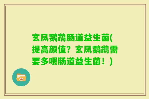 玄凤鹦鹉肠道益生菌(提高颜值？玄凤鹦鹉需要多喂肠道益生菌！)