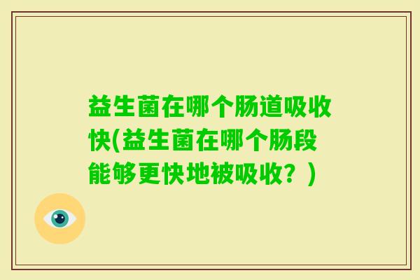 益生菌在哪个肠道吸收快(益生菌在哪个肠段能够更快地被吸收?) 益生菌在哪个肠道吸收快(益生菌在哪个肠段能够更快地被吸收?)