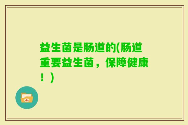 益生菌是肠道的(肠道重要益生菌,保障健康!) 益生菌是肠道的(肠道重要益生菌,保障健康!)