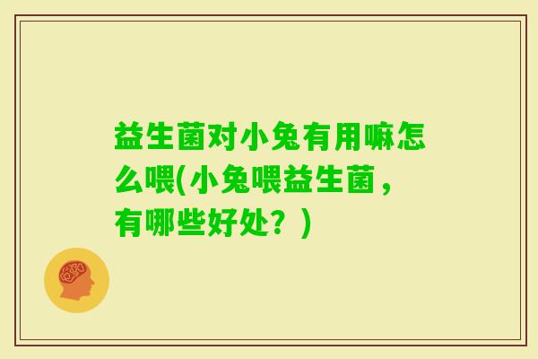 益生菌对小兔有用嘛怎么喂(小兔喂益生菌,有哪些好处?) 益生菌对小兔有用嘛怎么喂(小兔喂益生菌,有哪些好处?)