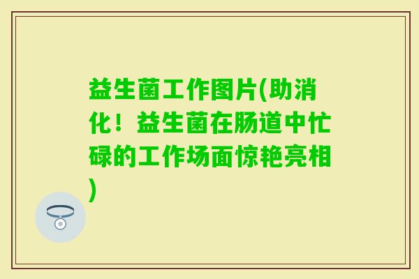 益生菌工作图片(助消化！益生菌在肠道中忙碌的工作场面惊艳亮相)