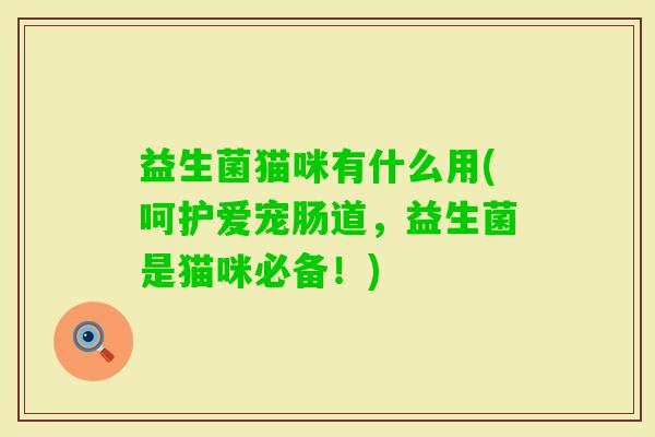 益生菌猫咪有什么用(呵护爱宠肠道,益生菌是猫咪必备!) 益生菌猫咪有什么用(呵护爱宠肠道,益生菌是猫咪必备!)