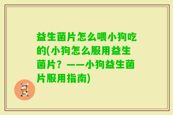 益生菌片怎么喂小狗吃的(小狗怎么服用益生菌片?——小狗益生菌片服用指南) 益生菌片怎么喂小狗吃的(小狗怎么服用益生菌片?——小狗益生菌片服用指南)