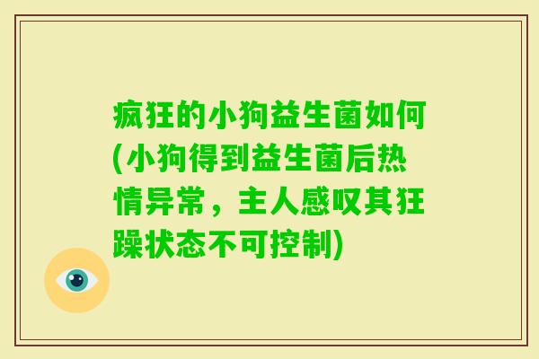 疯狂的小狗益生菌如何(小狗得到益生菌后热情异常,主人感叹其狂躁状态不可控制) 疯狂的小狗益生菌如何(小狗得到益生菌后热情异常,主人感叹其狂躁状态不可控制)
