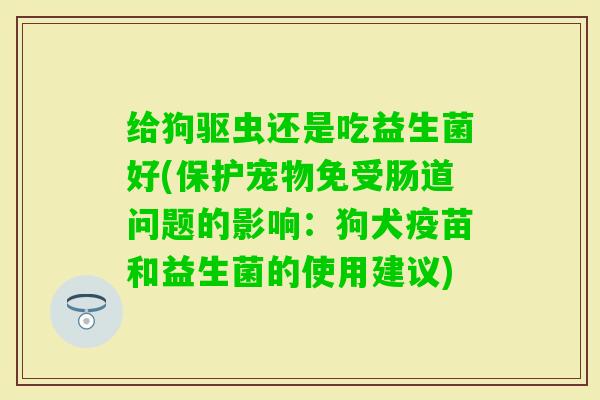 给狗驱虫还是吃益生菌好(保护宠物免受肠道问题的影响：狗犬疫苗和益生菌的使用建议)