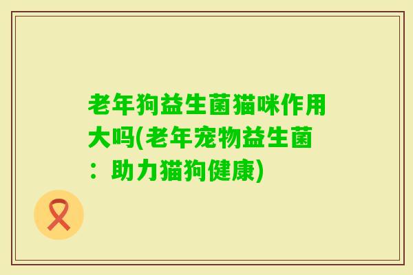 老年狗益生菌猫咪作用大吗(老年宠物益生菌：助力猫狗健康)