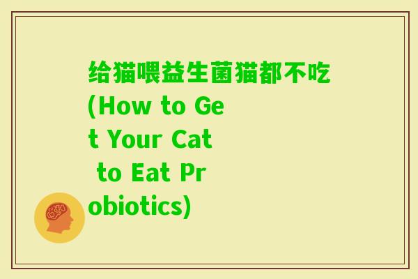 给猫喂益生菌猫都不吃(How to Get Your Cat to Eat Probiotics)
