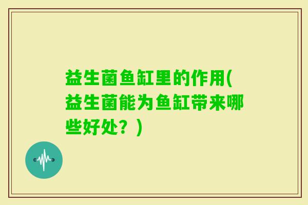 益生菌鱼缸里的作用(益生菌能为鱼缸带来哪些好处？)