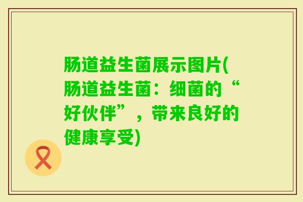 肠道益生菌展示图片(肠道益生菌:的“好伙伴”,带来良好的健康享受) 肠道益生菌展示图片(肠道益生菌:的“好伙伴”,带来良好的健康享受)