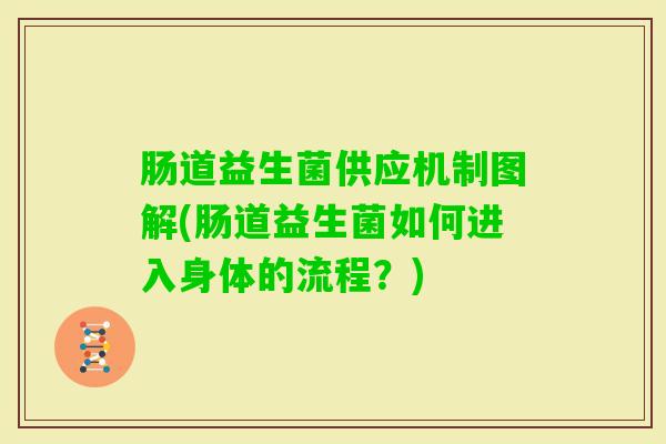 肠道益生菌供应机制图解(肠道益生菌如何进入身体的流程?) 肠道益生菌供应机制图解(肠道益生菌如何进入身体的流程?)