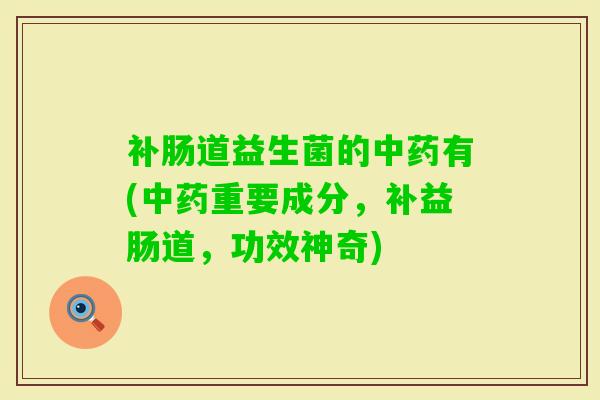 补肠道益生菌的有(重要成分,补益肠道,功效神奇) 补肠道益生菌的有(重要成分,补益肠道,功效神奇)