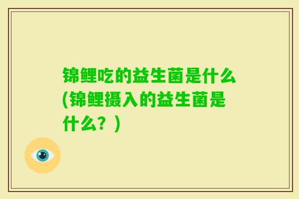 锦鲤吃的益生菌是什么(锦鲤摄入的益生菌是什么？)