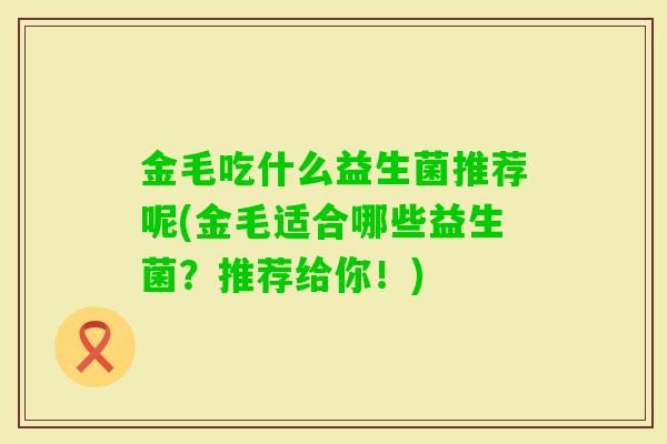 金毛吃什么益生菌推荐呢(金毛适合哪些益生菌?推荐给你!) 金毛吃什么益生菌推荐呢(金毛适合哪些益生菌?推荐给你!)