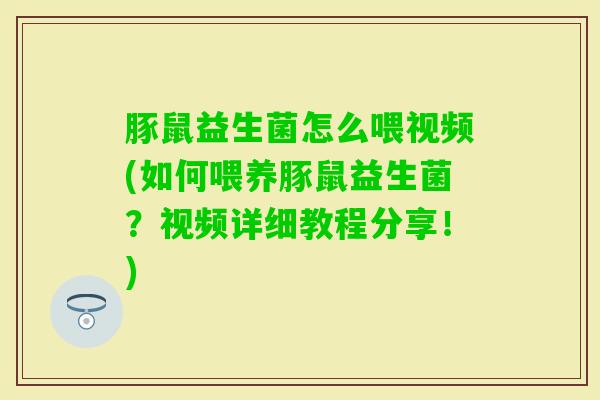 豚鼠益生菌怎么喂视频(如何喂养豚鼠益生菌?视频详细教程分享!) 豚鼠益生菌怎么喂视频(如何喂养豚鼠益生菌?视频详细教程分享!)