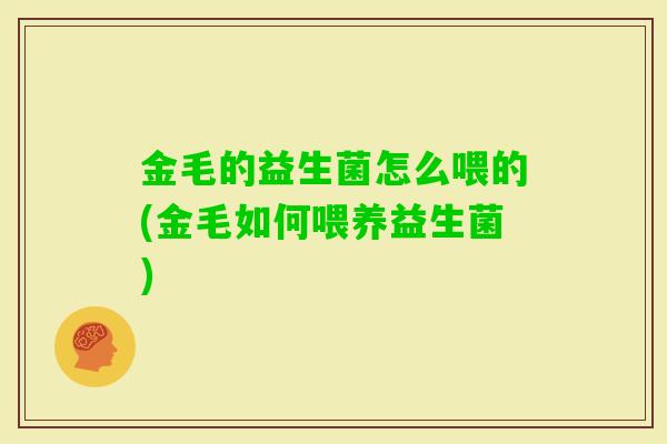 金毛的益生菌怎么喂的(金毛如何喂养益生菌) 金毛的益生菌怎么喂的(金毛如何喂养益生菌)