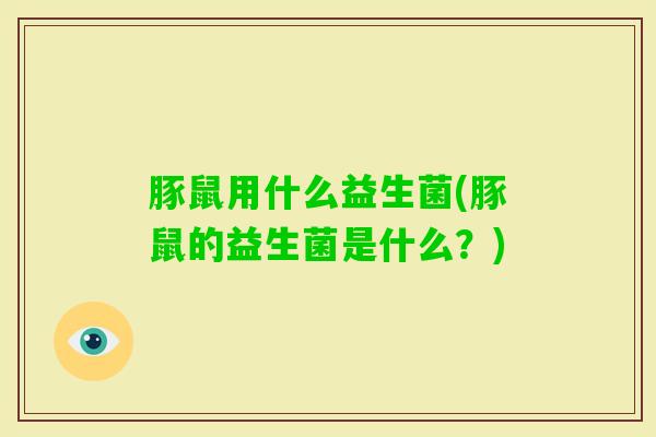 豚鼠用什么益生菌(豚鼠的益生菌是什么？)