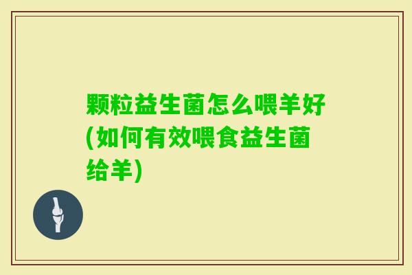 颗粒益生菌怎么喂羊好(如何有效喂食益生菌给羊)