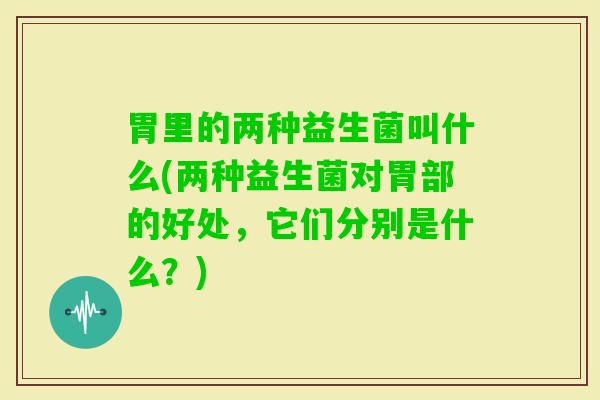 胃里的两种益生菌叫什么(两种益生菌对胃部的好处,它们分别是什么?) 胃里的两种益生菌叫什么(两种益生菌对胃部的好处,它们分别是什么?)