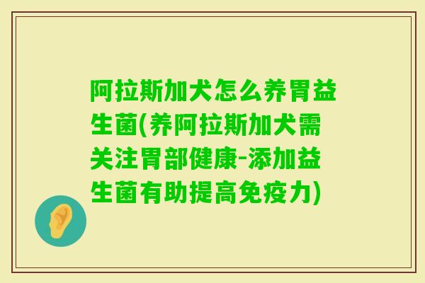 阿拉斯加犬怎么养胃益生菌(养阿拉斯加犬需关注胃部健康-添加益生菌有助提高力) 阿拉斯加犬怎么养胃益生菌(养阿拉斯加犬需关注胃部健康-添加益生菌有助提高力)