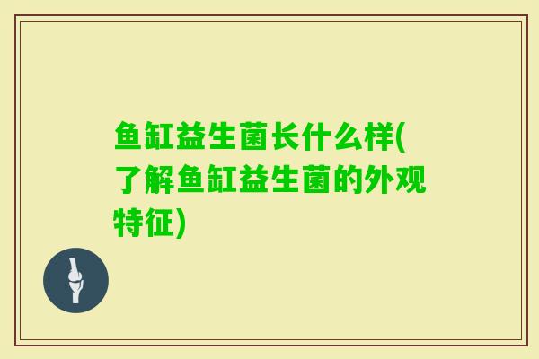 鱼缸益生菌长什么样(了解鱼缸益生菌的外观特征) 鱼缸益生菌长什么样(了解鱼缸益生菌的外观特征)
