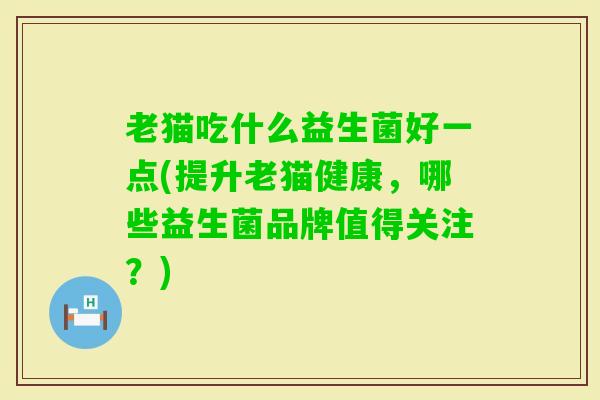 老猫吃什么益生菌好一点(提升老猫健康,哪些益生菌品牌值得关注?) 老猫吃什么益生菌好一点(提升老猫健康,哪些益生菌品牌值得关注?)
