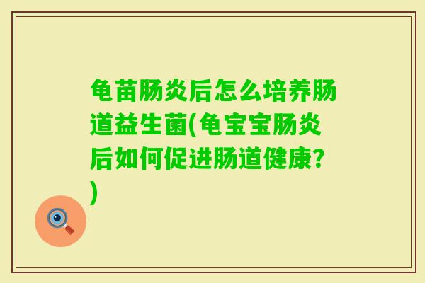 龟苗后怎么培养肠道益生菌(龟宝宝后如何促进肠道健康？)