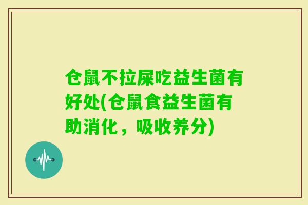 仓鼠不拉屎吃益生菌有好处(仓鼠食益生菌有助消化，吸收养分)