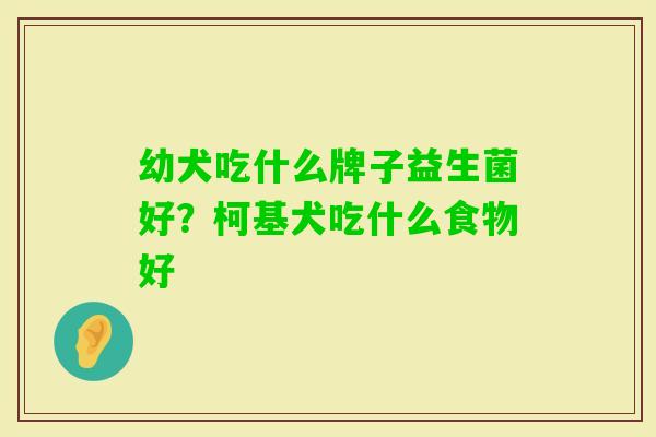 幼犬吃什么牌子益生菌好?柯基犬吃什么食物好 幼犬吃什么牌子益生菌好?柯基犬吃什么食物好