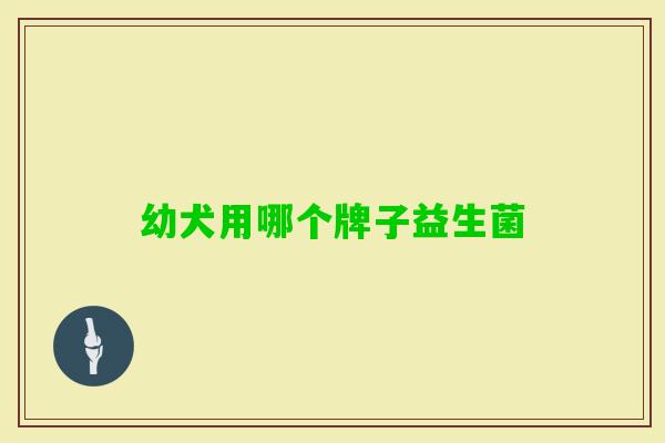 幼犬用哪个牌子益生菌