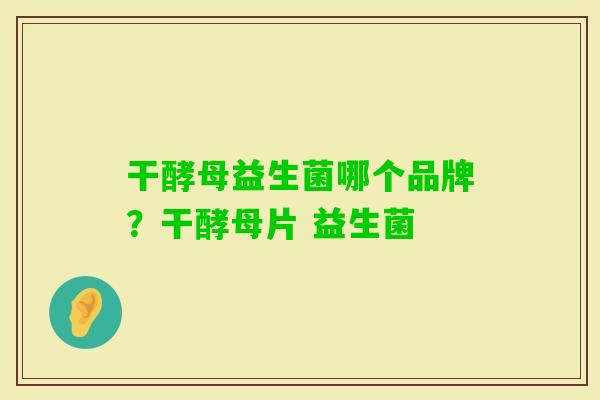 干酵母益生菌哪个品牌？干酵母片 益生菌