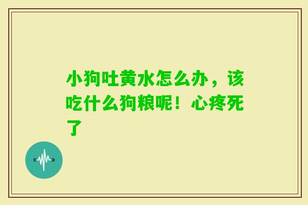 小狗吐黄水怎么办,该吃什么狗粮呢!心疼死了 小狗吐黄水怎么办,该吃什么狗粮呢!心疼死了