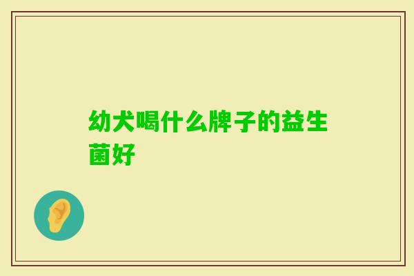 幼犬喝什么牌子的益生菌好