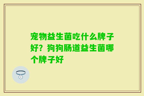 宠物益生菌吃什么牌子好？狗狗肠道益生菌哪个牌子好