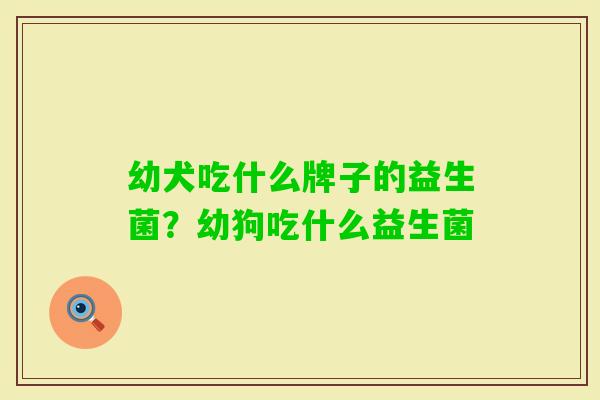 幼犬吃什么牌子的益生菌?幼狗吃什么益生菌 幼犬吃什么牌子的益生菌?幼狗吃什么益生菌