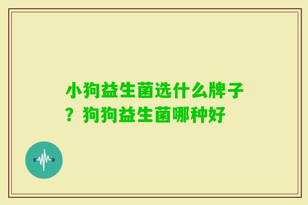 小狗益生菌选什么牌子？狗狗益生菌哪种好