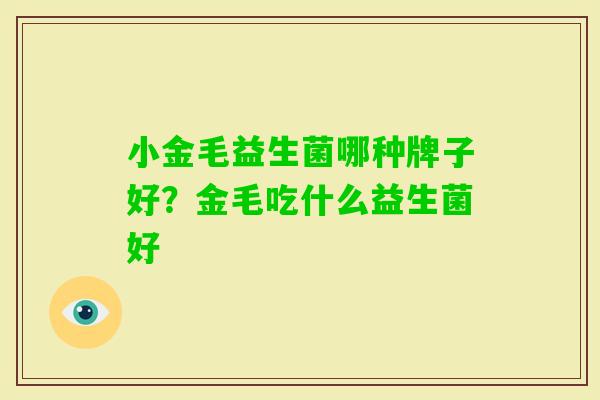 小金毛益生菌哪种牌子好?金毛吃什么益生菌好 小金毛益生菌哪种牌子好?金毛吃什么益生菌好