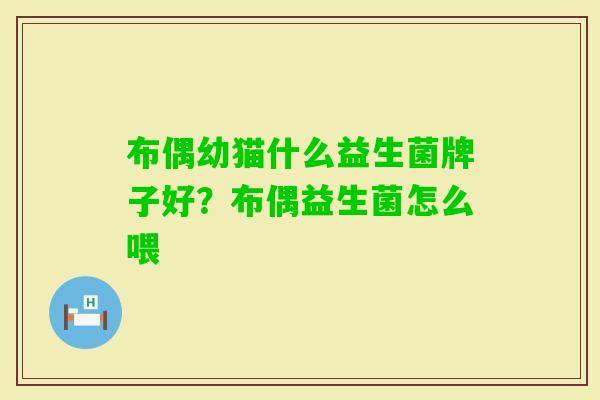 布偶幼猫什么益生菌牌子好？布偶益生菌怎么喂