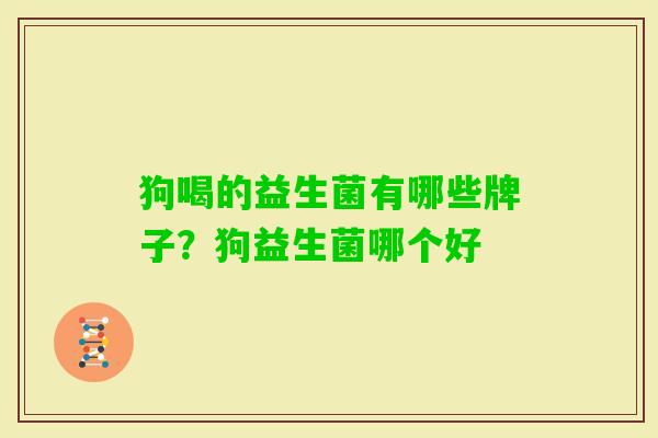 狗喝的益生菌有哪些牌子?狗益生菌哪个好 狗喝的益生菌有哪些牌子?狗益生菌哪个好