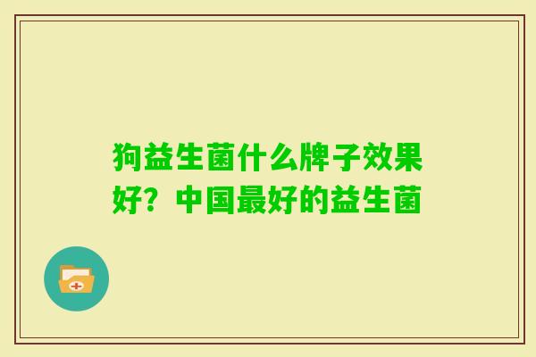 狗益生菌什么牌子效果好?中国好的益生菌 狗益生菌什么牌子效果好?中国好的益生菌