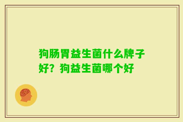 狗肠胃益生菌什么牌子好？狗益生菌哪个好