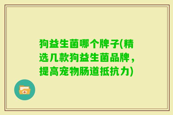 狗益生菌哪个牌子(精选几款狗益生菌品牌，提高宠物肠道)