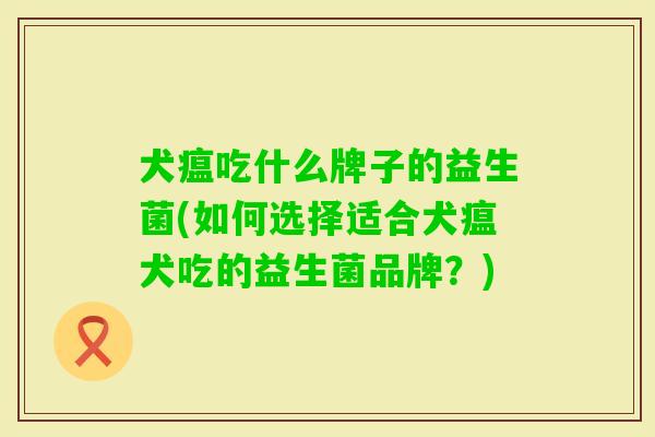 犬瘟吃什么牌子的益生菌(如何选择适合犬瘟犬吃的益生菌品牌？)