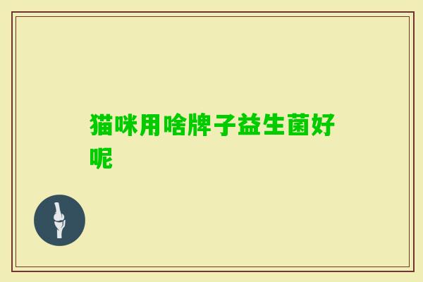 猫咪用啥牌子益生菌好呢 猫咪用啥牌子益生菌好呢