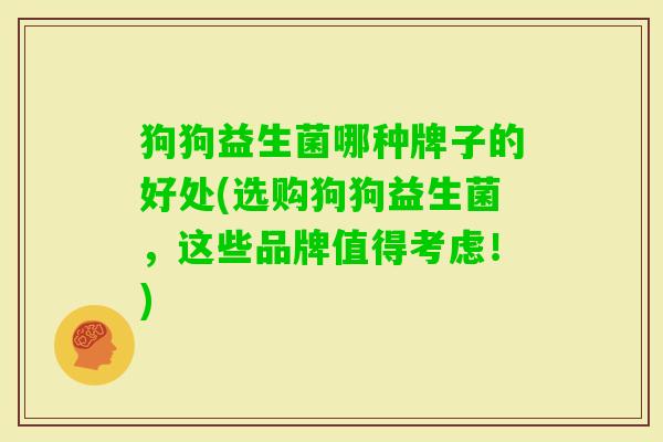 狗狗益生菌哪种牌子的好处(选购狗狗益生菌，这些品牌值得考虑！)