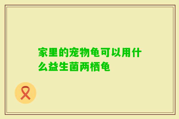 家里的宠物龟可以用什么益生菌两栖龟 家里的宠物龟可以用什么益生菌两栖龟