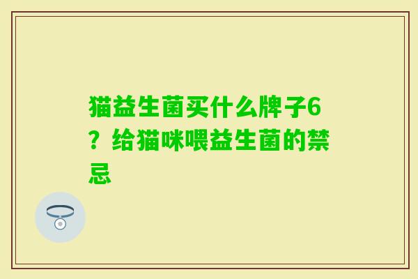 猫益生菌买什么牌子6？给猫咪喂益生菌的禁忌